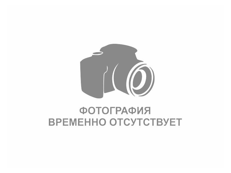 ГРЕБЕНЮК Ирина Борисовна.